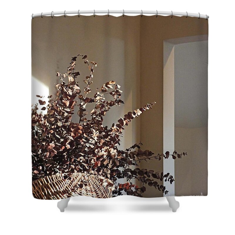 Still Life Shower Curtain featuring the photograph Eucalyptus by Lizi Beard-Ward