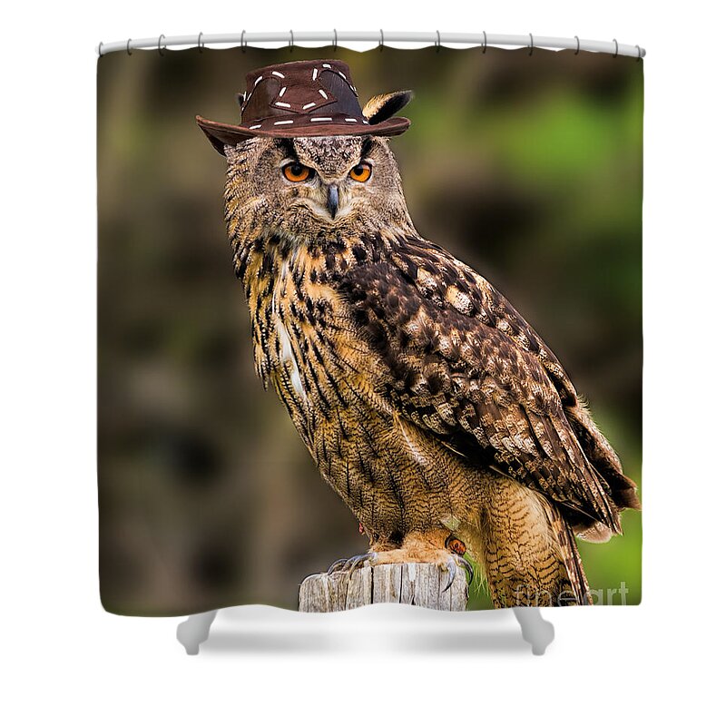 Birds Shower Curtain featuring the photograph Eurasian Eagle Owl with a cowboy hat by Les Palenik