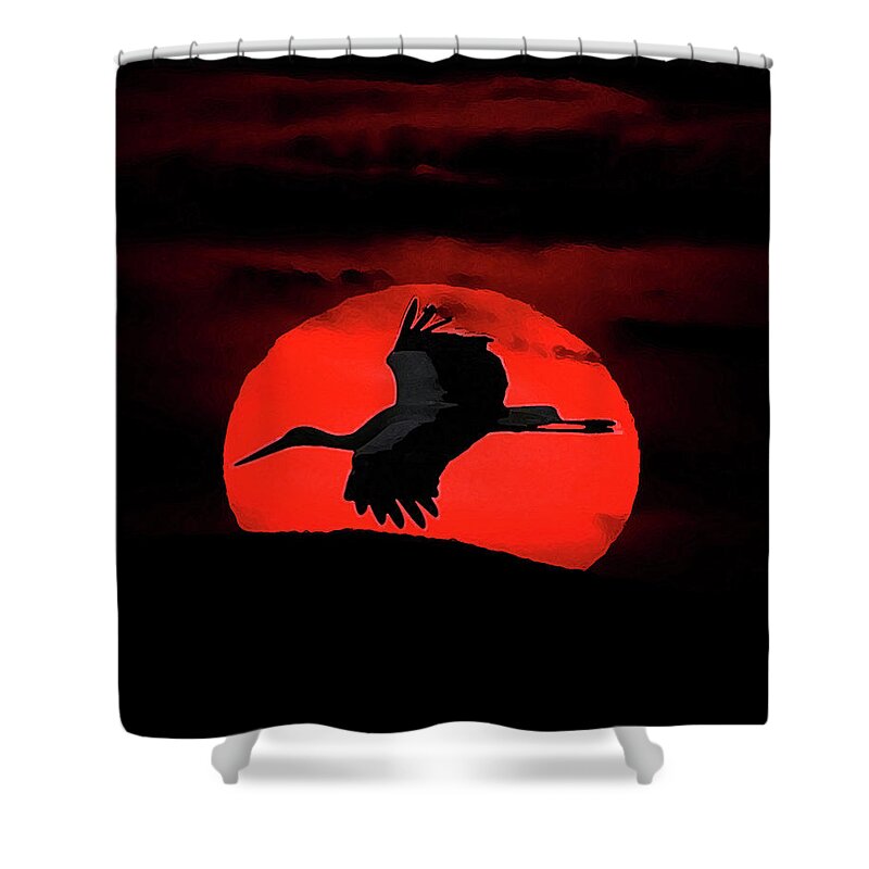 White Stork Shower Curtain featuring the photograph Evening Flight by Cliff Norton