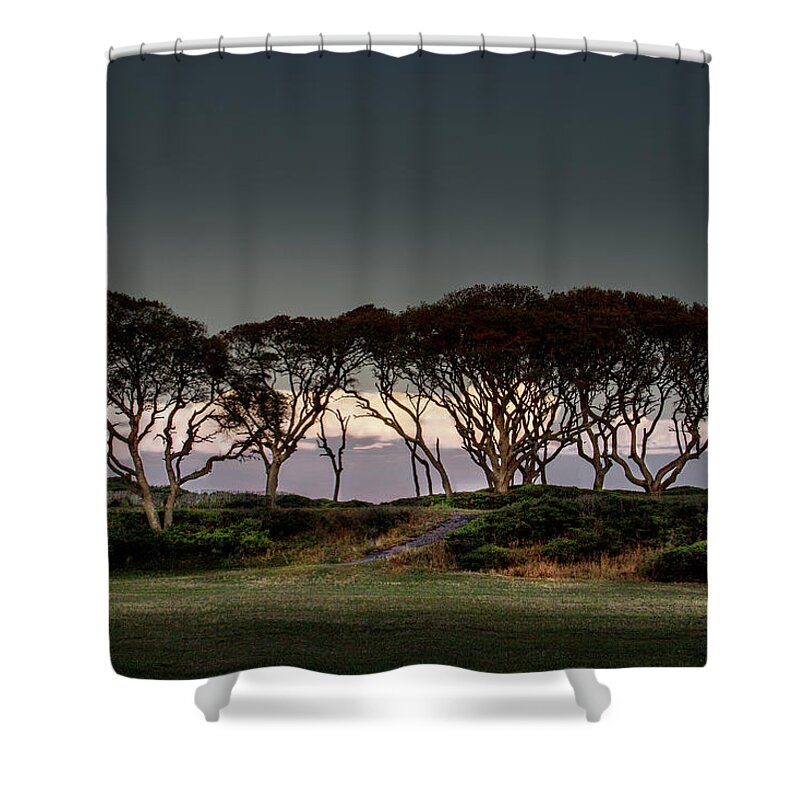 Fort Fisher Trees Print Shower Curtain featuring the photograph Dusk at Fort Fisher by Phil Mancuso