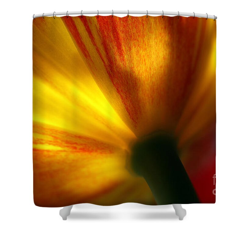 Spring Shower Curtain featuring the photograph Eventually by Amanda Barcon