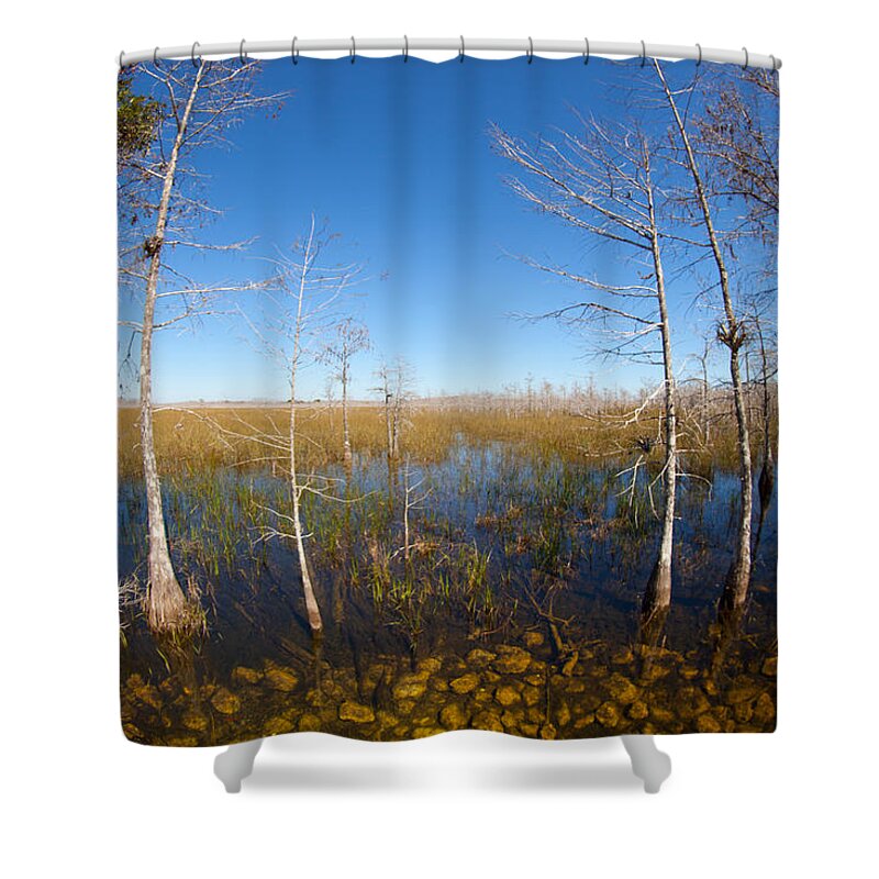 Everglades National Park Shower Curtain featuring the photograph Everglades 85 by Michael Fryd