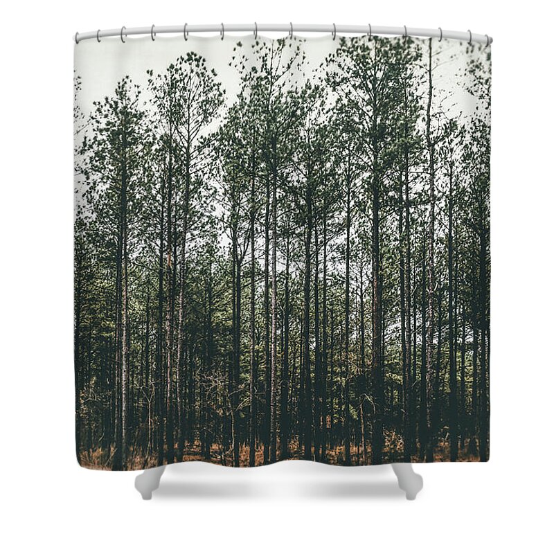 Moody Shower Curtain featuring the photograph Evergreen by Andrea Anderegg