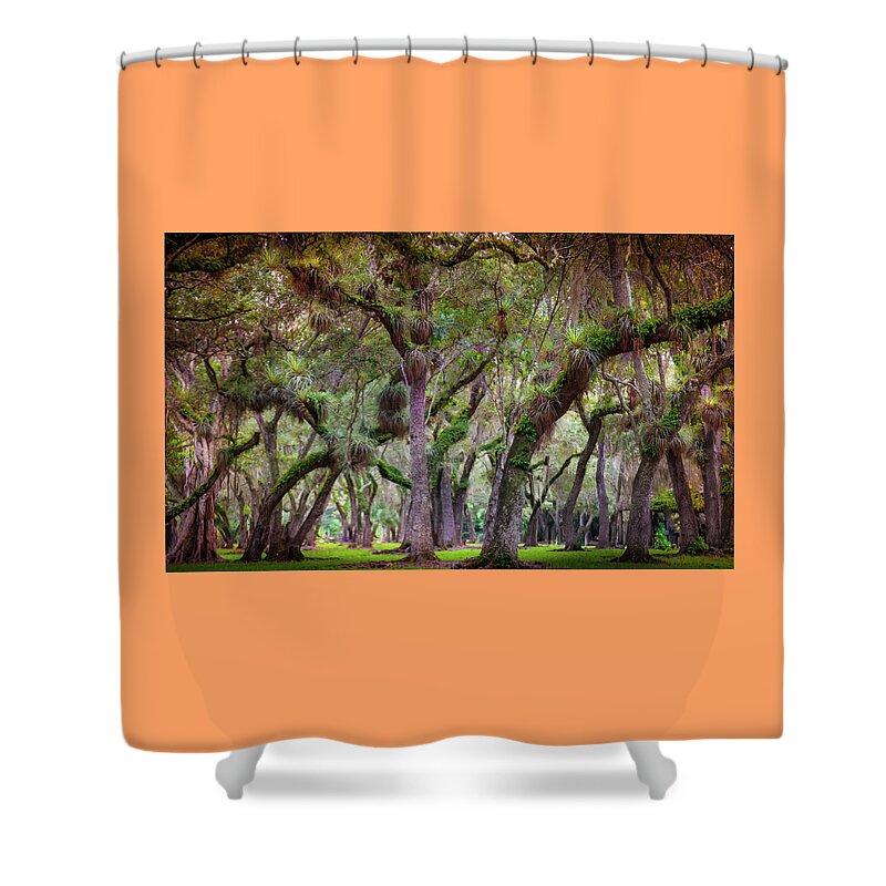Everglades Shower Curtain featuring the photograph Evergreen by Karen Wiles