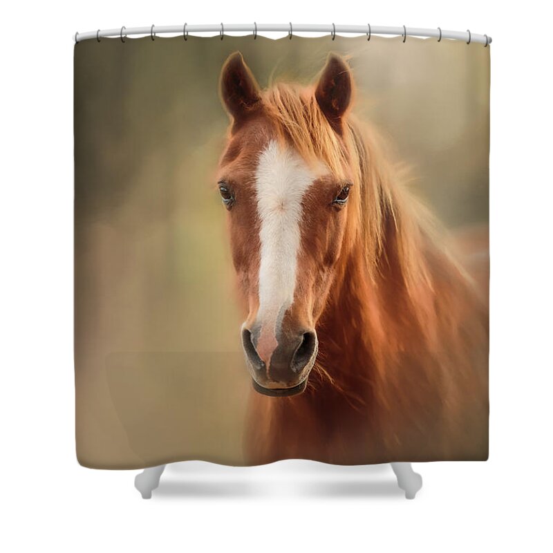 Horse Shower Curtain featuring the photograph Everyone's Favourite Pony by Michelle Wrighton