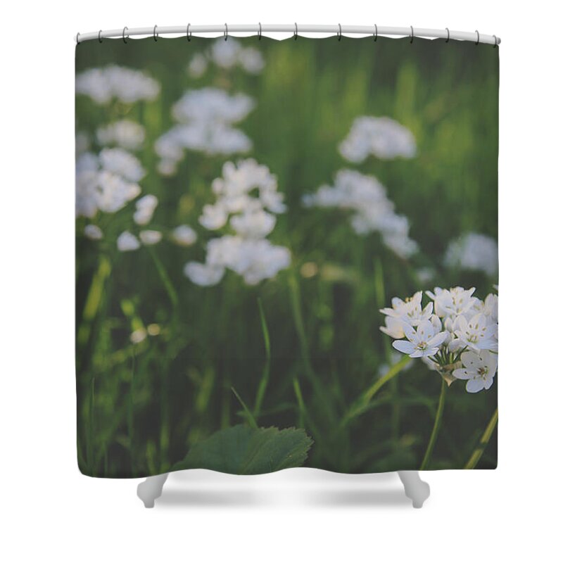Flowers Shower Curtain featuring the photograph Everything is New Again by Laurie Search