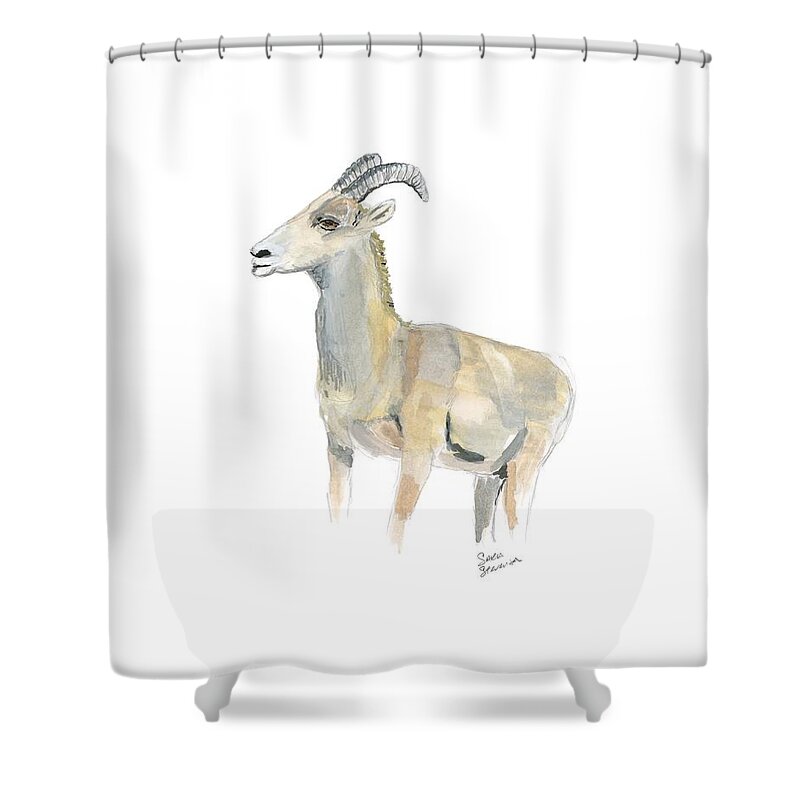 Bighorn Sheep Shower Curtain featuring the painting Ewe by Sara Stevenson