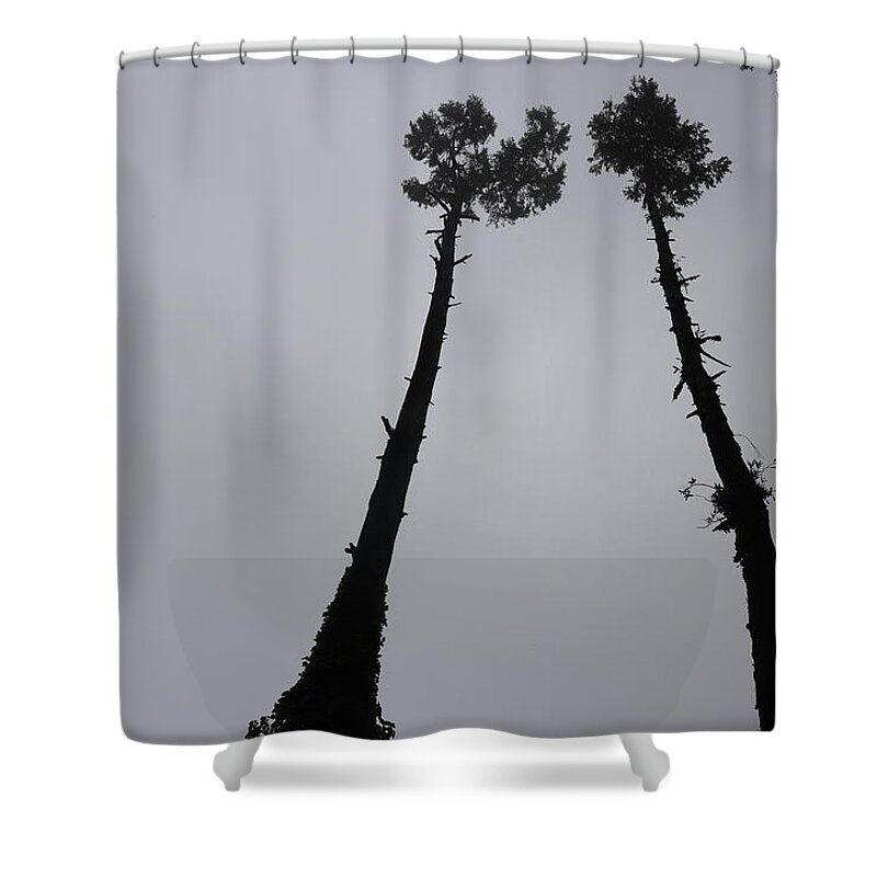 Exceed Shower Curtain featuring the photograph Exceeding by Nilu Mishra