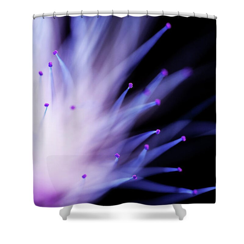 Mimosa Shower Curtain featuring the photograph Explosive by Mike Eingle