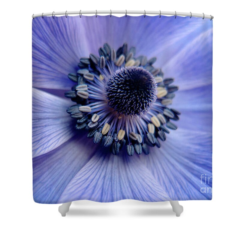 706 Shower Curtain featuring the photograph Expressive Blue and Purple Floral Macro Photo 706 by Ricardos Creations