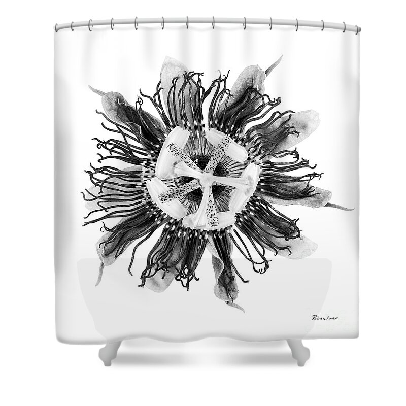 Expressive Shower Curtain featuring the photograph Expressive Passion Flower in Grayscale 50674G by Ricardos Creations