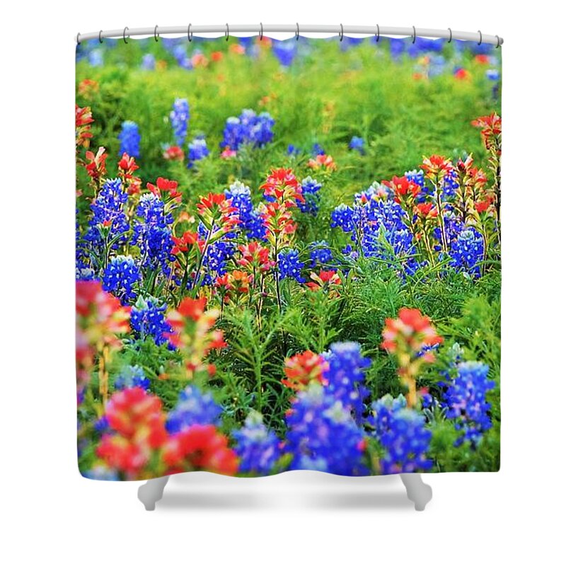 Wildflowers Sunset Shower Curtain featuring the digital art Bluebonnet Eye Candy In Sunset by Pamela Smale Williams