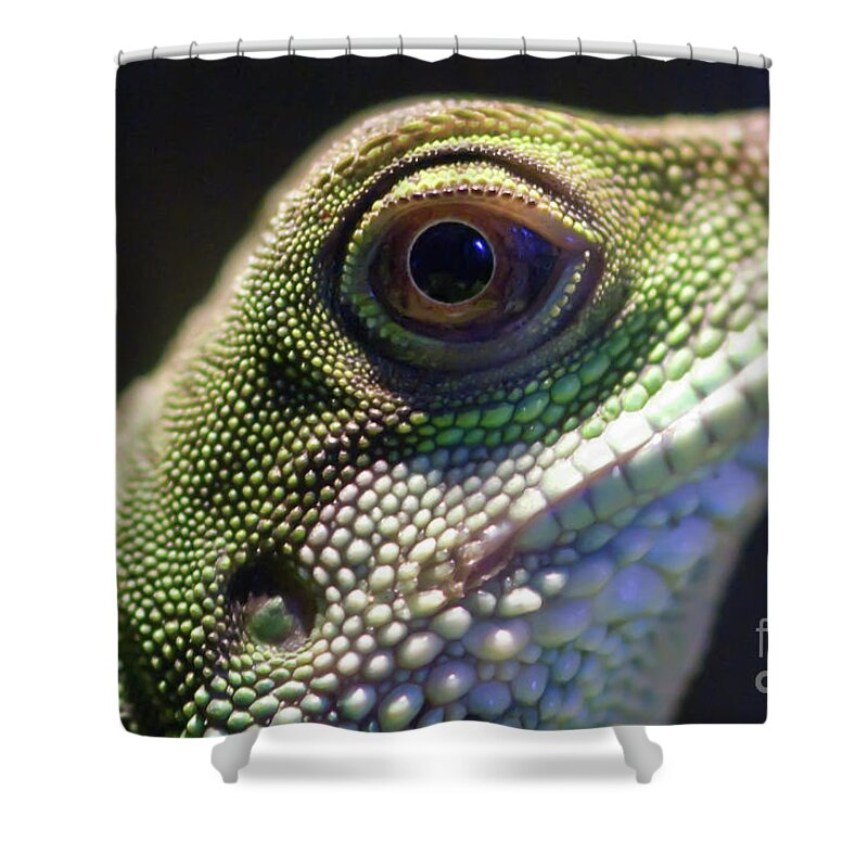 Animal Shower Curtain featuring the photograph Eye of Lizard by Charles Dobbs