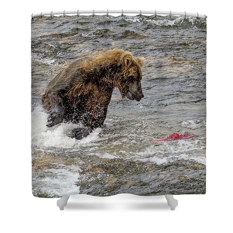 Alaska Shower Curtain featuring the photograph Eye on the Sockeye by Cheryl Strahl