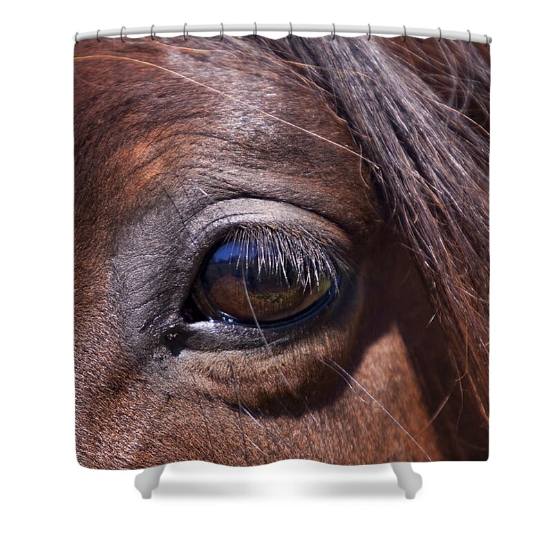 Horses Shower Curtain featuring the photograph Eye See You by Michelle Wrighton