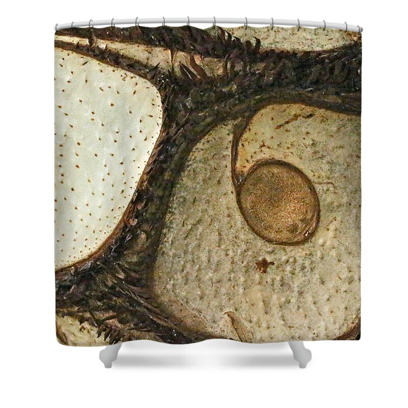 Abstract Shower Curtain featuring the photograph Eye Spy by Carol Senske