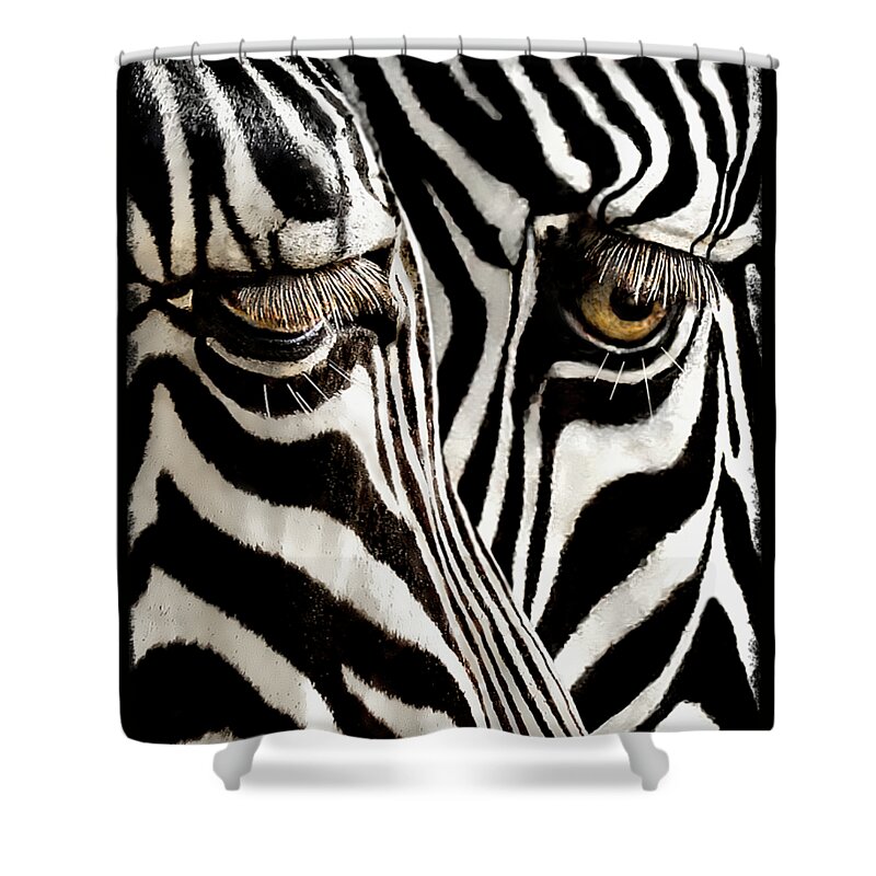 Zebra Shower Curtain featuring the photograph Eyes and Stripes Forever by Jennie Breeze