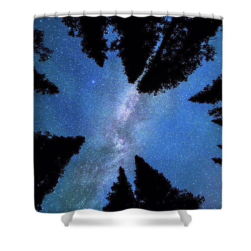 Scenic Shower Curtain featuring the photograph Eyes Looking Down by James BO Insogna