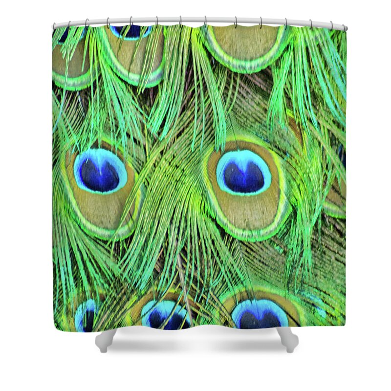 Peacock Shower Curtain featuring the photograph Eyes Of A Peacock by Steven Parker