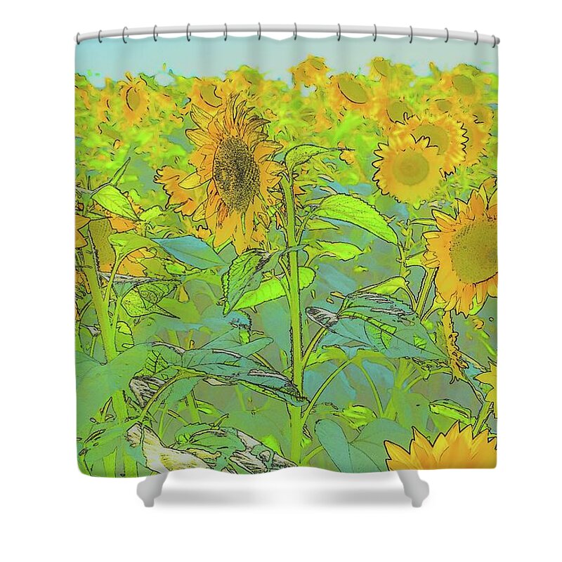 Colby Farm Shower Curtain featuring the photograph Face to the Sun by Beverly Tabet