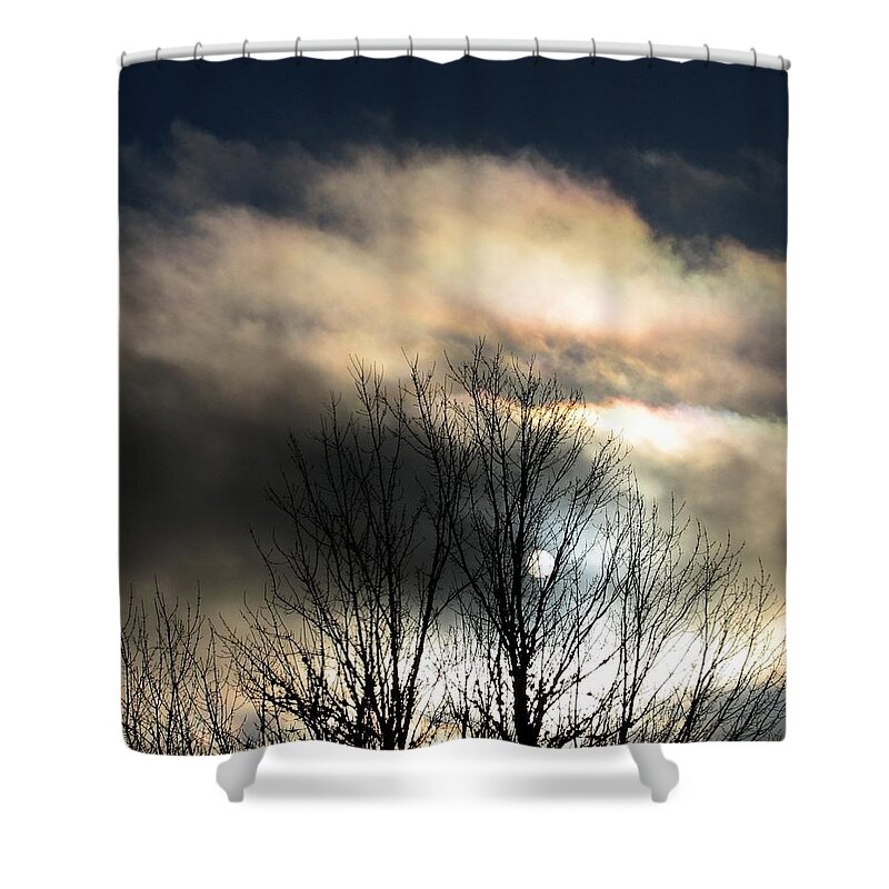 Trees Shower Curtain featuring the photograph Fadeaway by Chris Dunn
