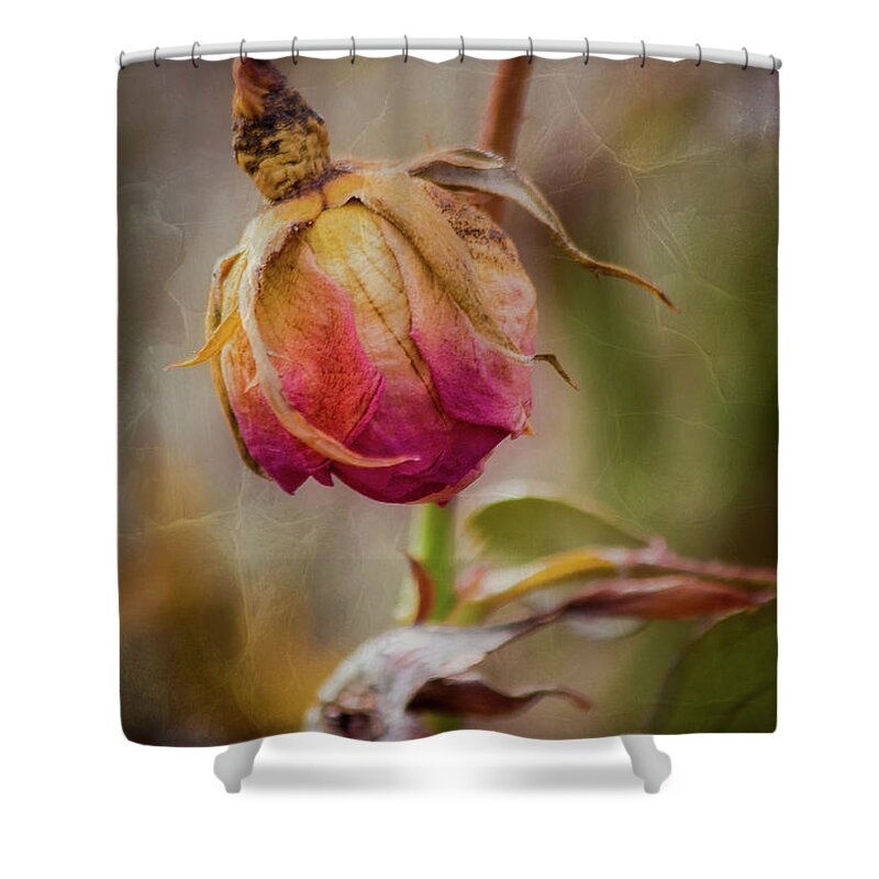 Fading Shower Curtain featuring the photograph Fading Color of Summer by Allin Sorenson