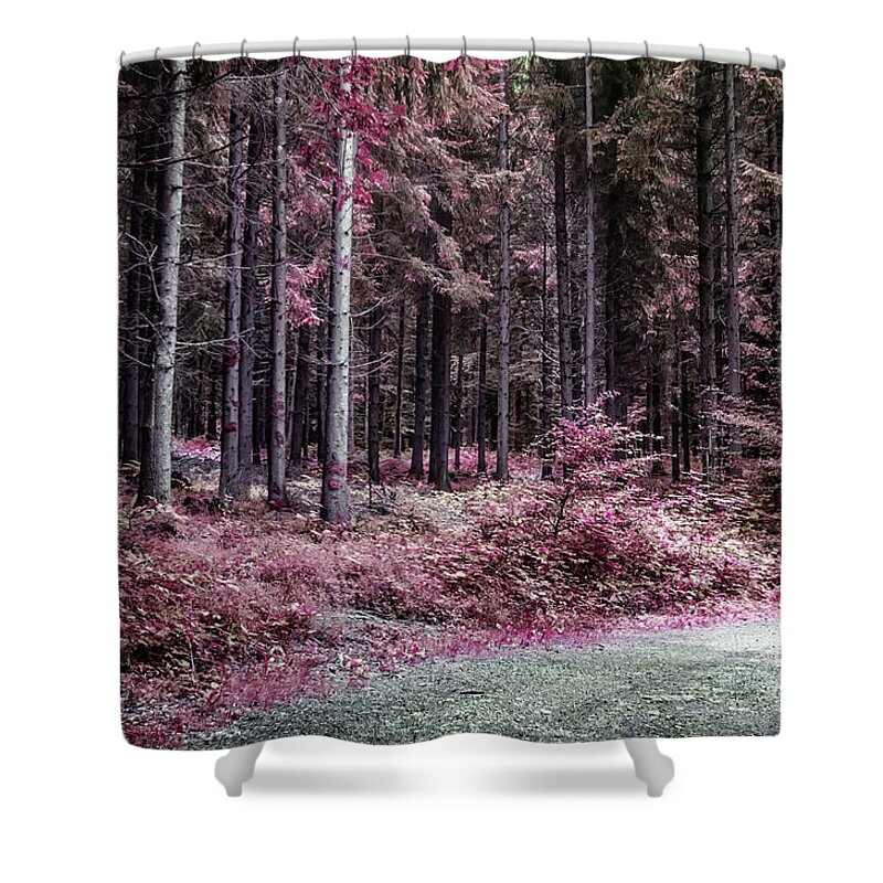 Michelle Meenawong Shower Curtain featuring the photograph Fairy Early Morning In The Forest by Michelle Meenawong
