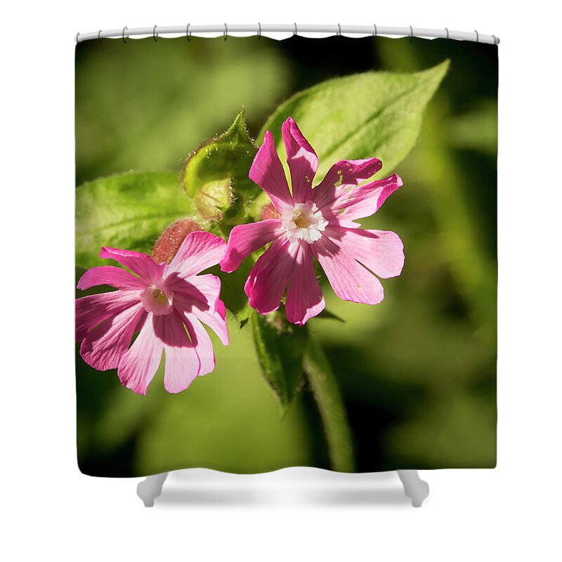Flower Shower Curtain featuring the photograph Fairy Flowers. by Elena Perelman