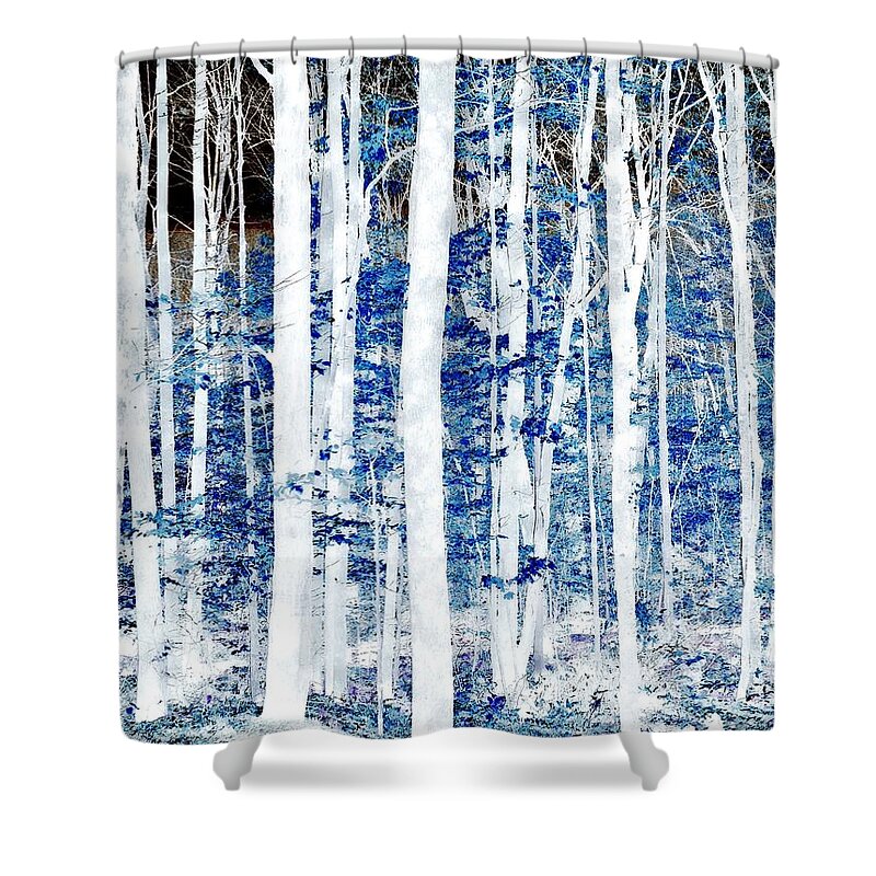 Landscape Shower Curtain featuring the photograph Fairy Forest by Marcia Lee Jones