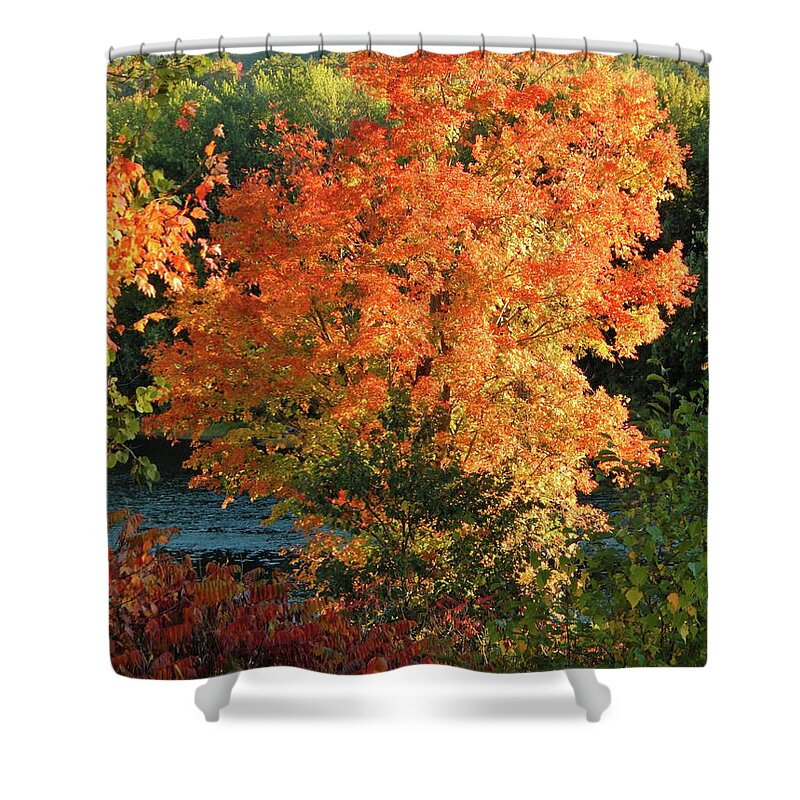 Landscape Shower Curtain featuring the photograph Fall 2016 4 by George Ramos