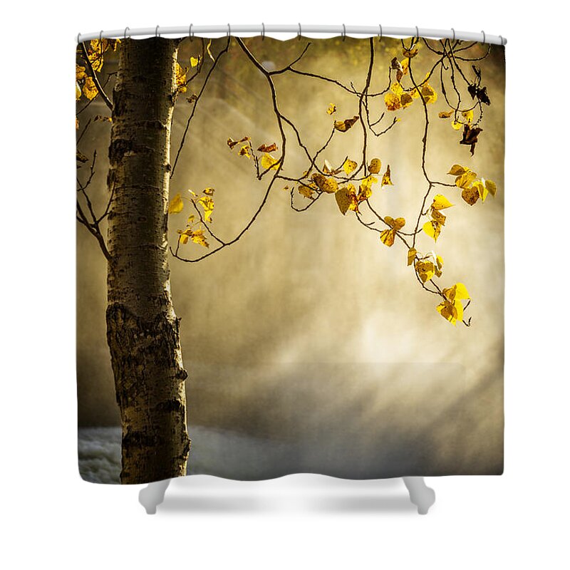 Autumn Shower Curtain featuring the photograph Fall and Fog by Celso Bressan