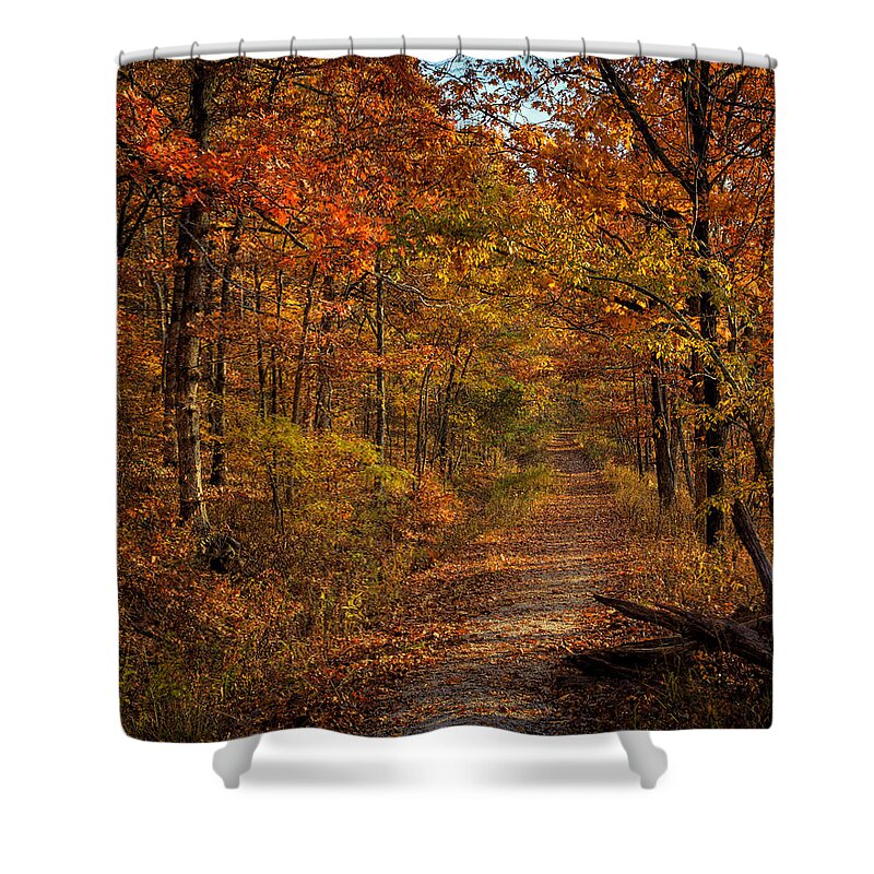 Fall Color Shower Curtain featuring the photograph Fall Color at Centerpoint Trailhead by Michael Dougherty