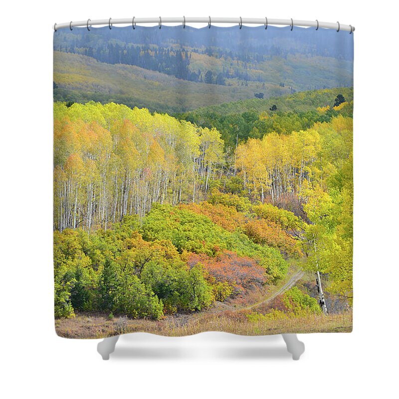 Colorado Shower Curtain featuring the photograph Fall Color Comes to Last Dollar Road by Ray Mathis