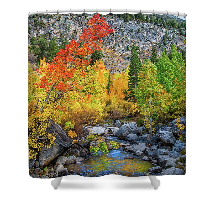 Aspen Shower Curtain featuring the photograph Fall Colors Along Bishop Creek by Lynn Bauer
