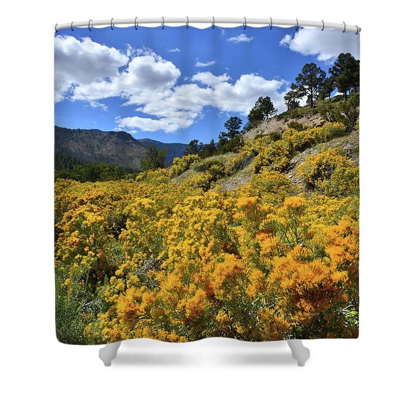 Humboldt-toiyabe National Forest Shower Curtain featuring the photograph Fall Colors Come to Mt. Charleston by Ray Mathis