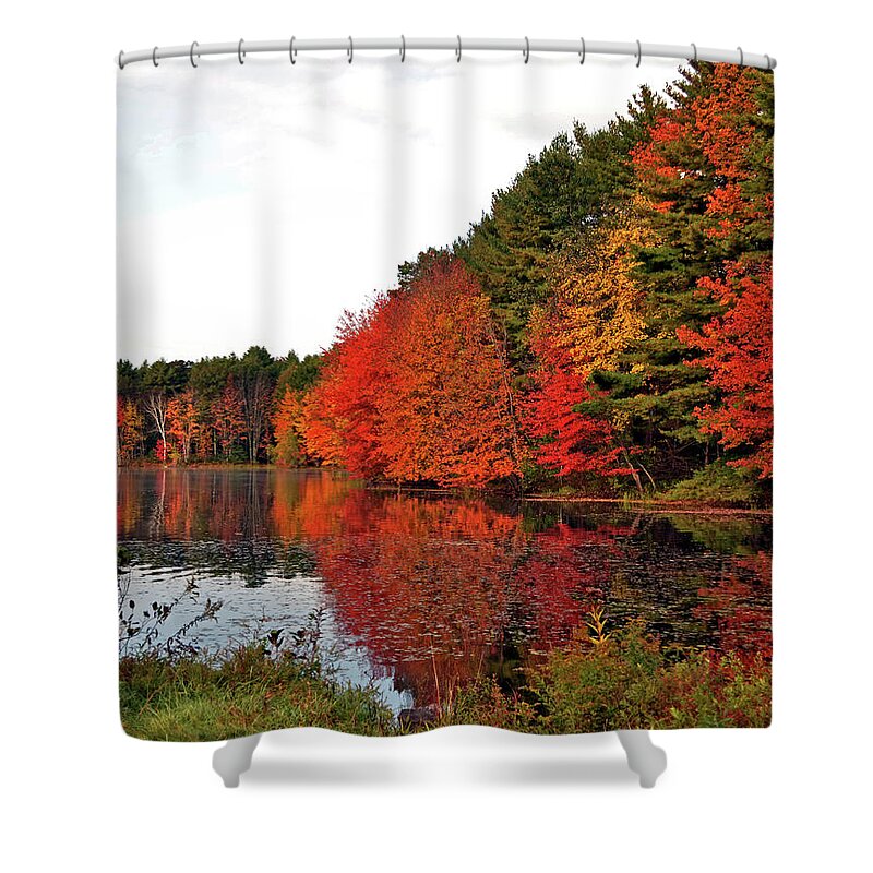 Fall Shower Curtain featuring the photograph Fall colors in Madbury NH by Nancy Landry