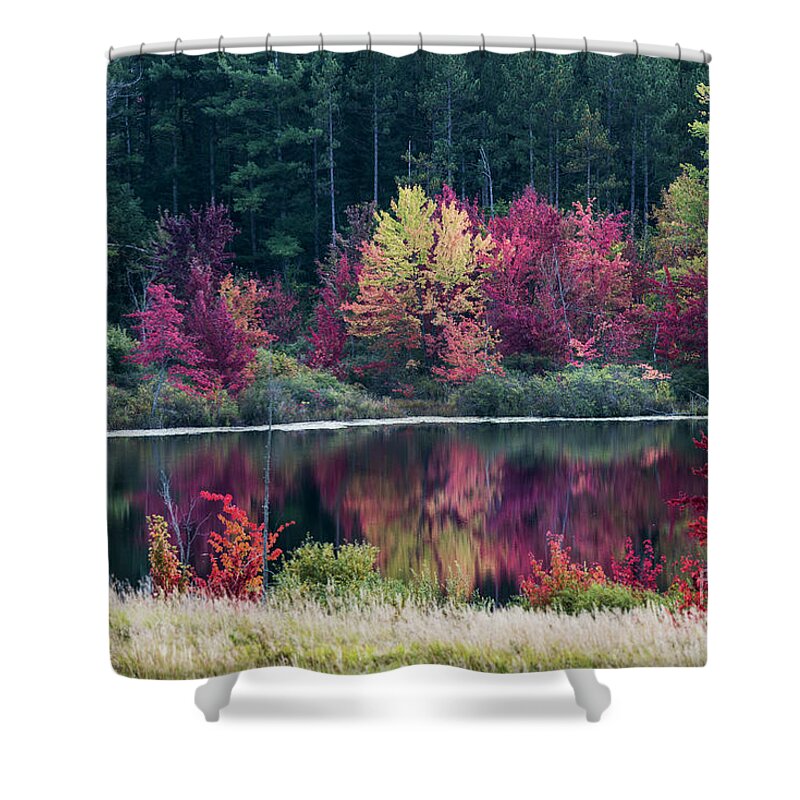 Thompson Lake Shower Curtain featuring the photograph Fall Colors - Thompson Lake 7581 by Steve Somerville