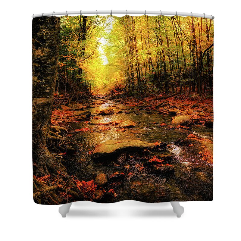 Stowe Shower Curtain featuring the photograph Fall Dreams by Robert Clifford