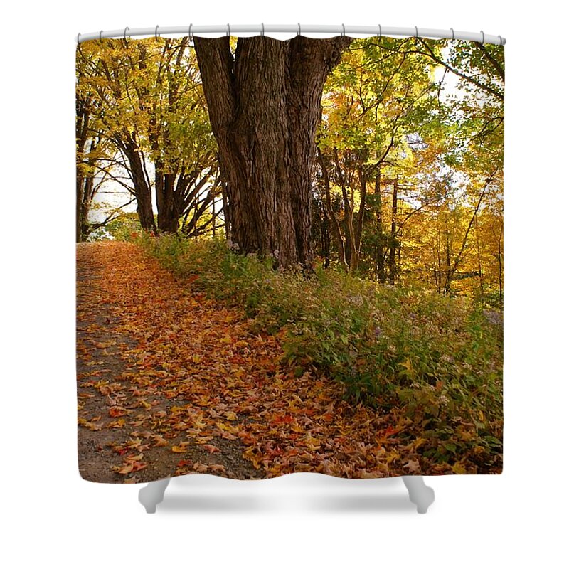 Fall Shower Curtain featuring the photograph Fall Driveway by Lois Lepisto