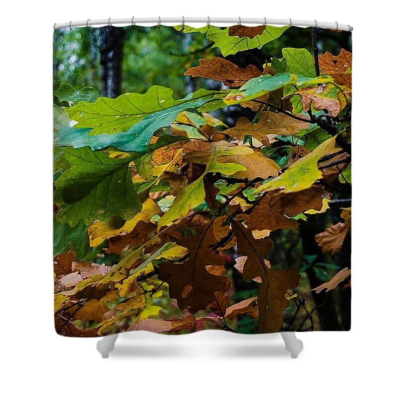 Fall Photograph Shower Curtain featuring the photograph Fall Foilage by Desmond Raymond
