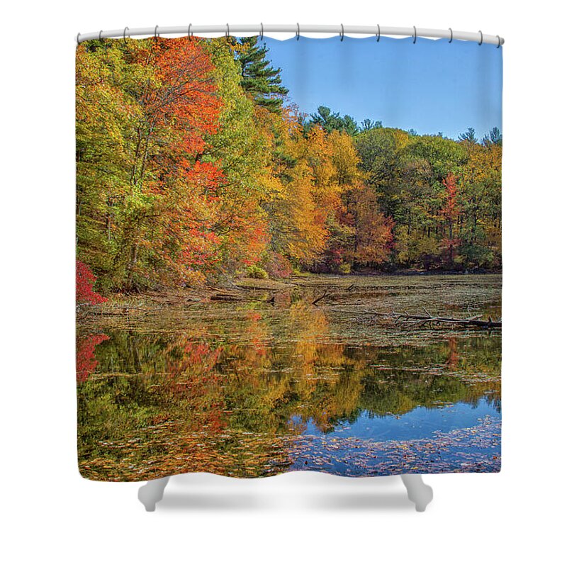 Fall Foliage Shower Curtain featuring the photograph Fall Foliage by Brian MacLean