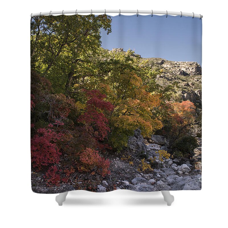 Guadalupe Mountains Shower Curtain featuring the photograph Fall Foliage in the Guadalupes by Melany Sarafis