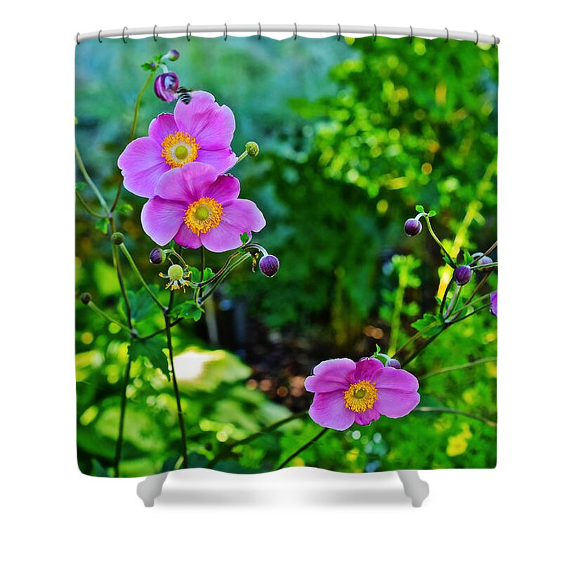 Anemone Shower Curtain featuring the photograph Fall Gardens September Charm Anemone by Janis Senungetuk