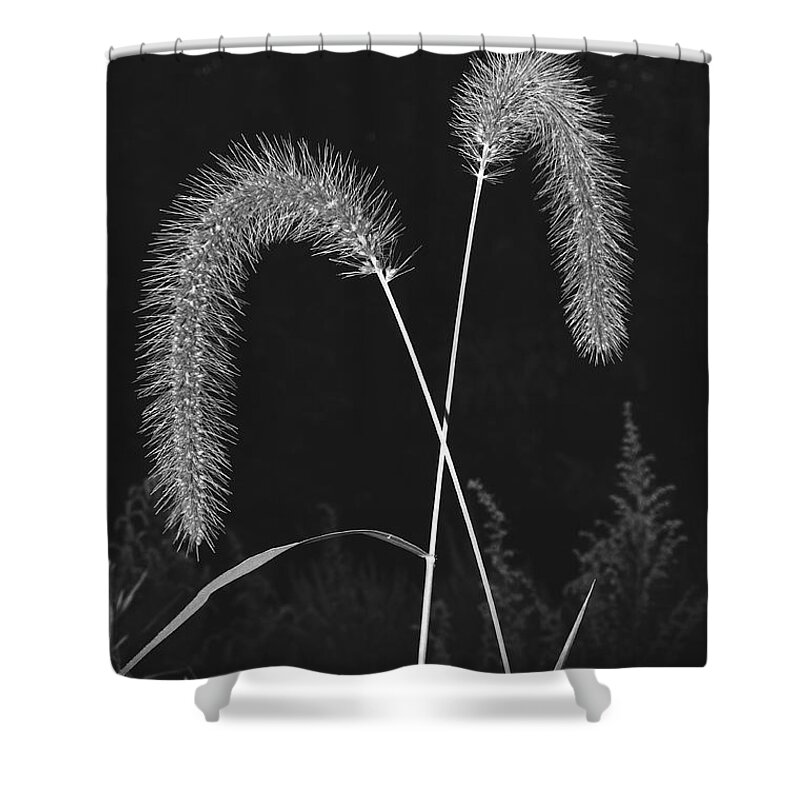 Grass Shower Curtain featuring the photograph Fall Grass 2 by Mark Fuller