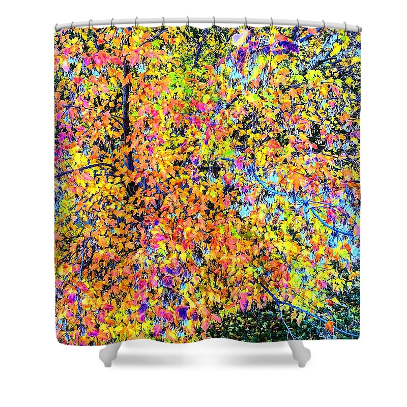 Leawood Shower Curtain featuring the photograph Fall Impressionism by Michael Oceanofwisdom Bidwell