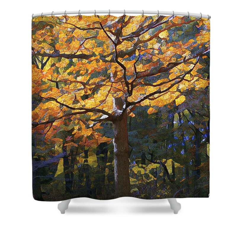Landscape Shower Curtain featuring the photograph Fall in New York by Unhinged Artistry