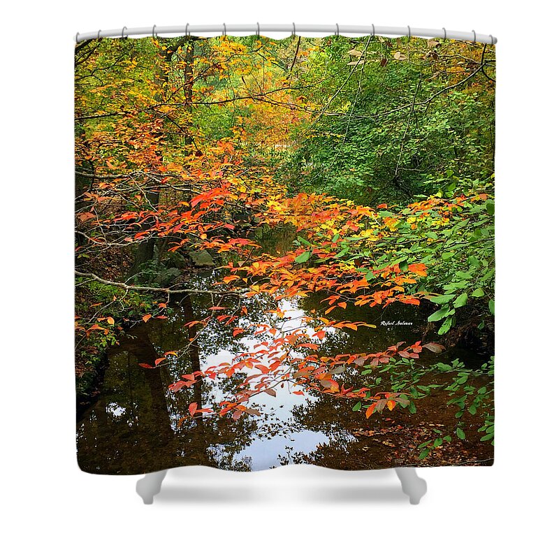Fall Leaves Shower Curtain featuring the photograph Fall is in the Air by Rafael Salazar
