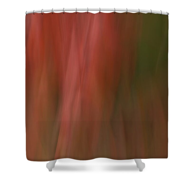 Abstract Shower Curtain featuring the photograph Fall Leaves in Abstract by Cheryl Day
