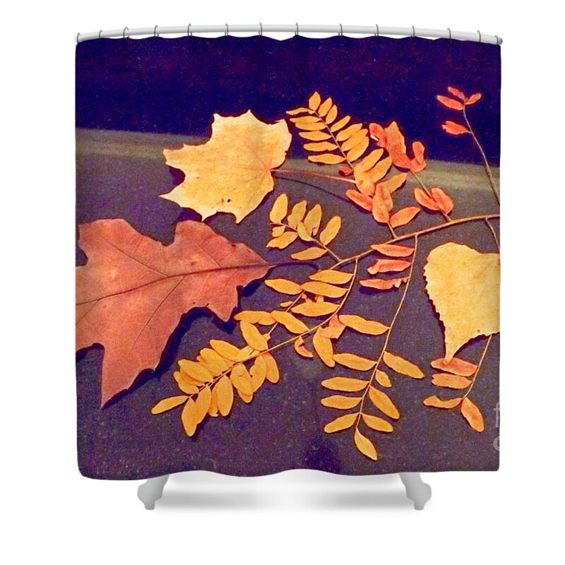 Fall Leaves On Granite Counter... Warm And Cool Tones Shower Curtain featuring the digital art Fall leaves on granite counter by Annie Gibbons