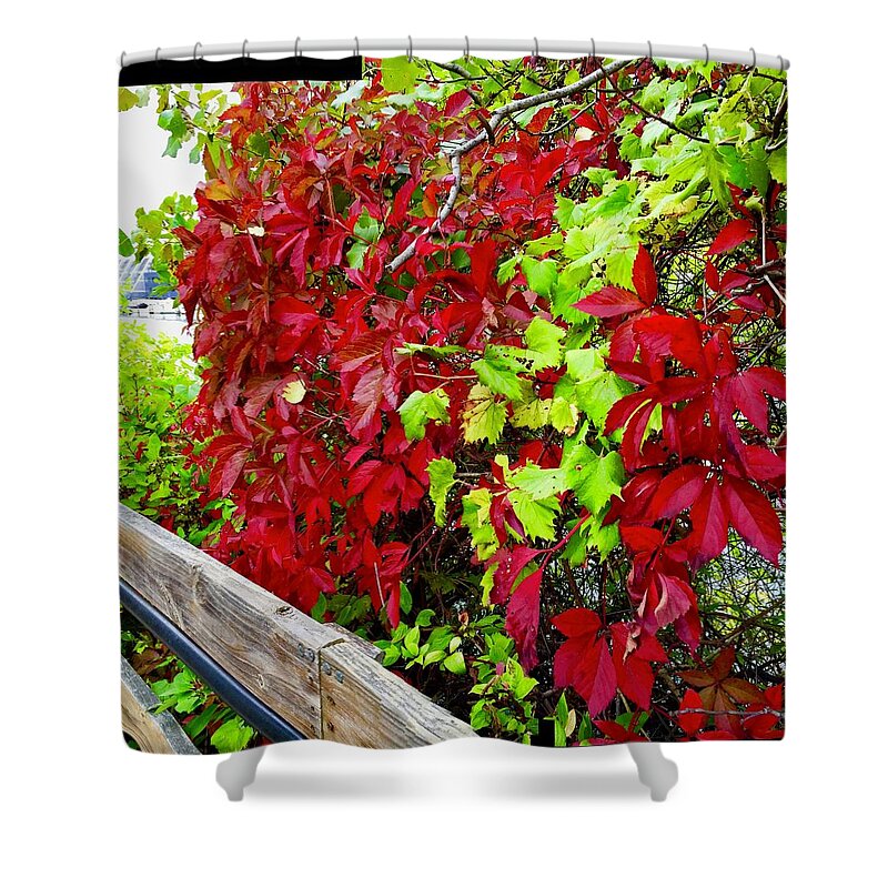 Red Shower Curtain featuring the photograph Fall Leaves Turning in Michigan by Kenlynn Schroeder